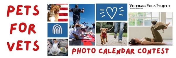 Fundraising Header image