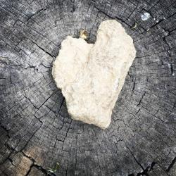 Fundraising Page Image