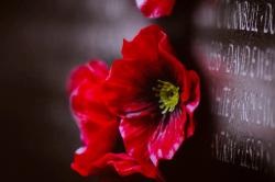 Fundraising Page Image